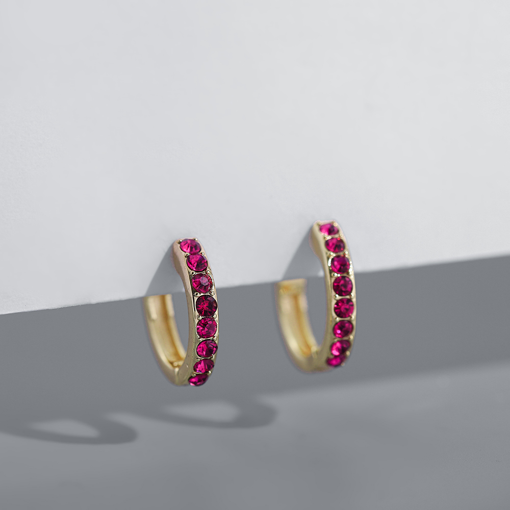 Fashion Circle Alloy Inlay Zircon Womenu0027S Hoop Earrings 1 Pair