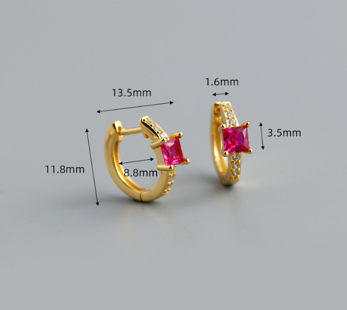 Fashion Round Silver Inlay Zircon Earrings 1 Pair