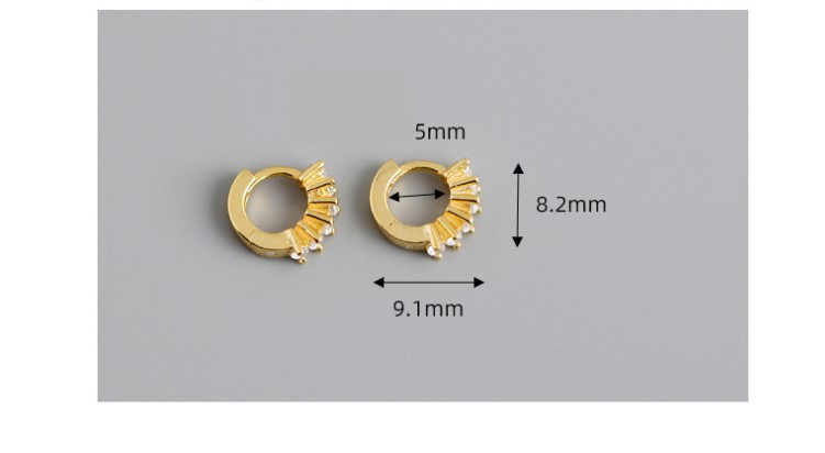 Fashion Geometric Silver Inlay Zircon Earrings 1 Pair