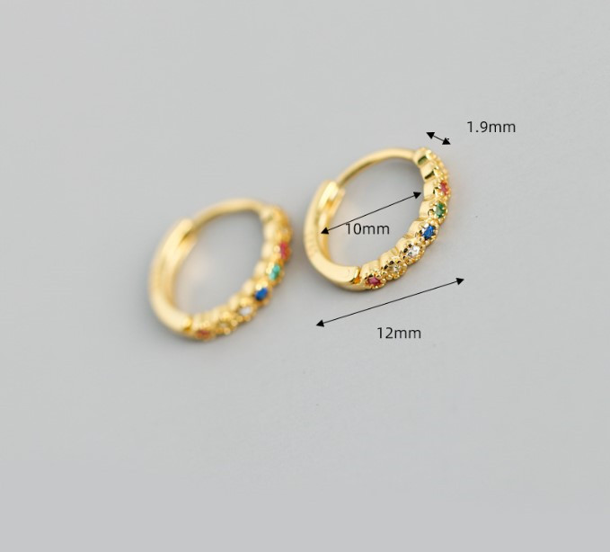 Fashion Round Silver Inlay Zircon Earrings 1 Pair