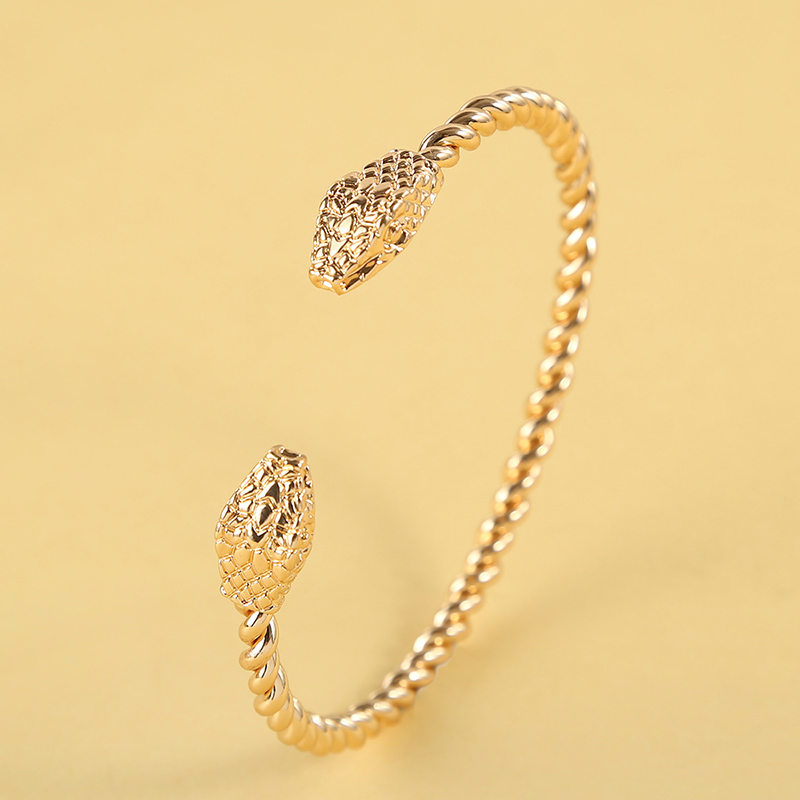 Fashion Snake Alloy Plating Unisex Bangle 1 Piece