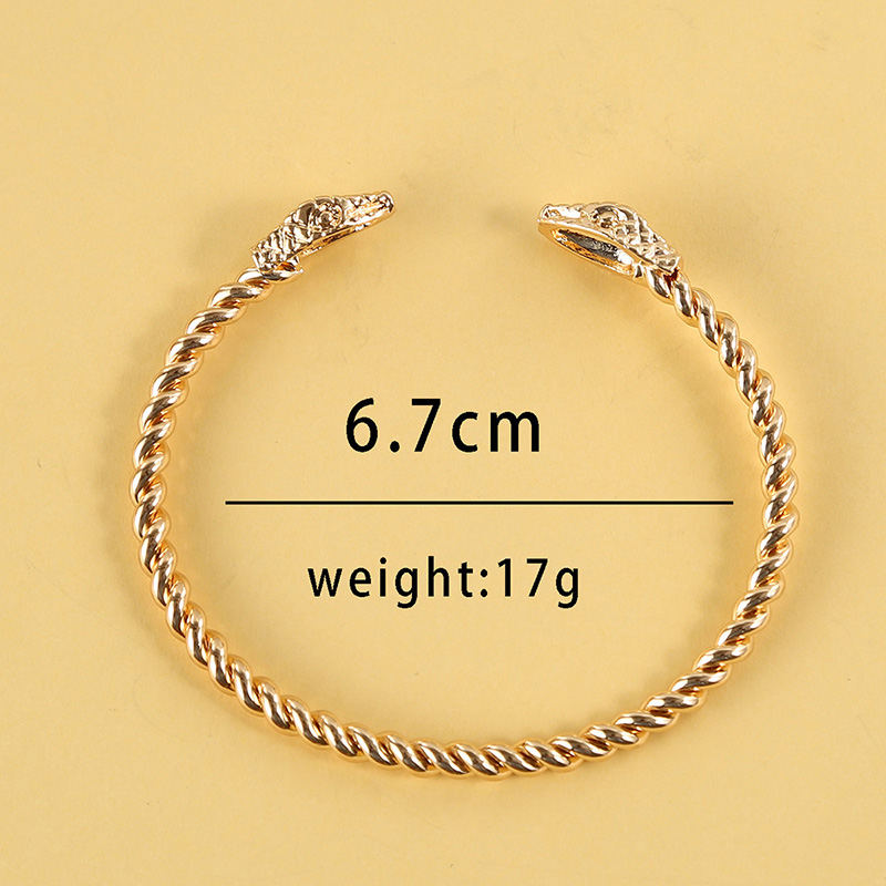 Fashion Snake Alloy Plating Unisex Bangle 1 Piece