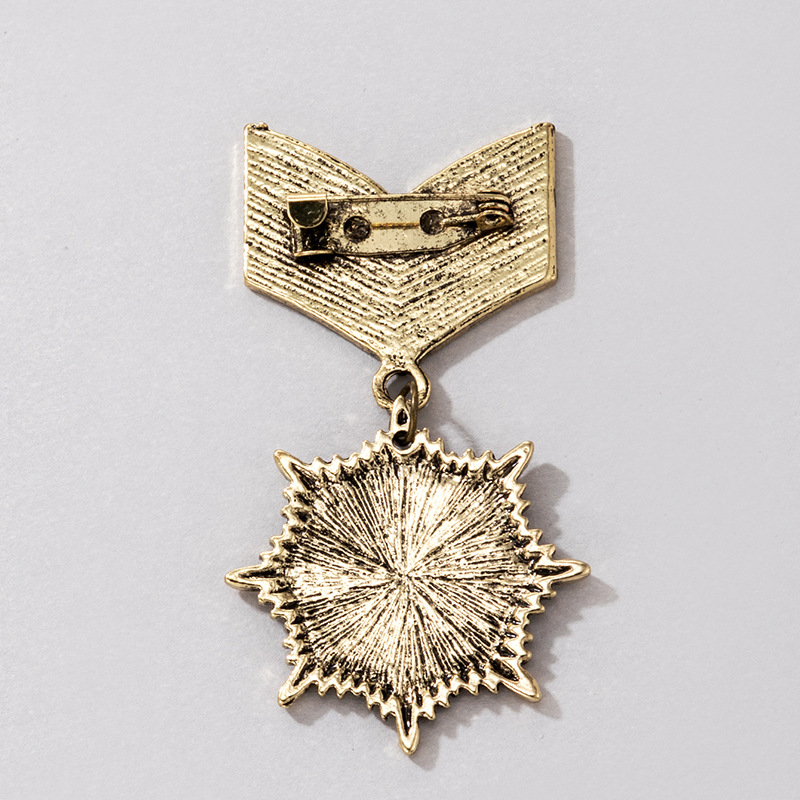 Vintage Style Owl Alloy Plating Unisex Brooches