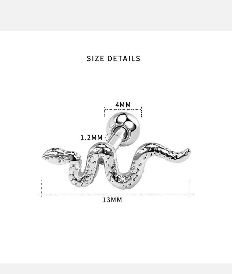 Retro Snake Stainless Steel Ear Studs 1 Pair