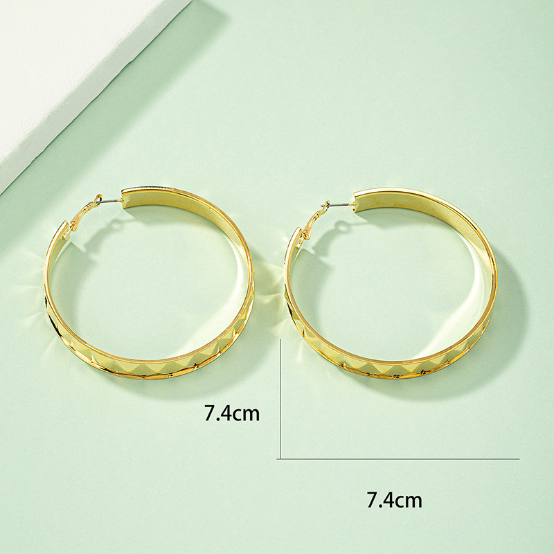 Exaggerated Circle Alloy Plating Womenu0027S Hoop Earrings 1 Pair