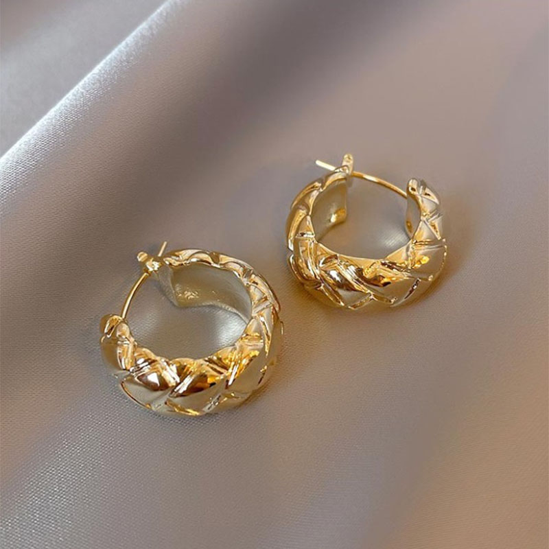 Fashion Circle Metal Earrings Plating No Inlaid Hoop Earrings