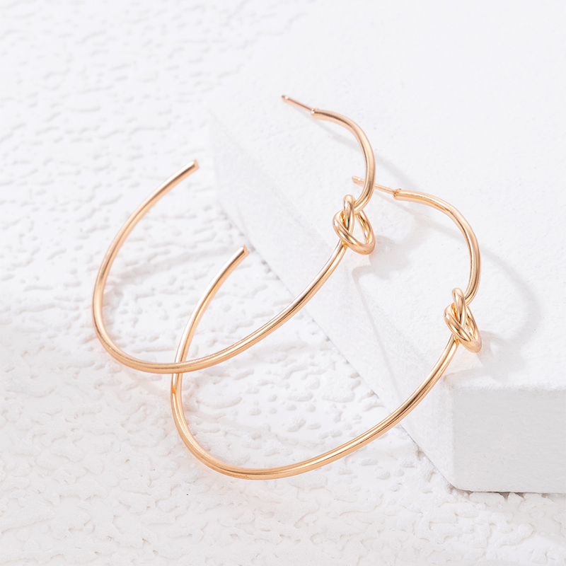 Fashion Geometric Alloy Hoop Earrings 1 Pair