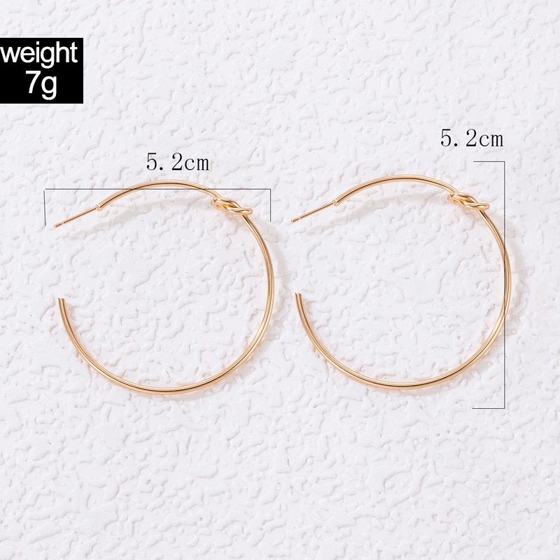 Fashion Geometric Alloy Hoop Earrings 1 Pair