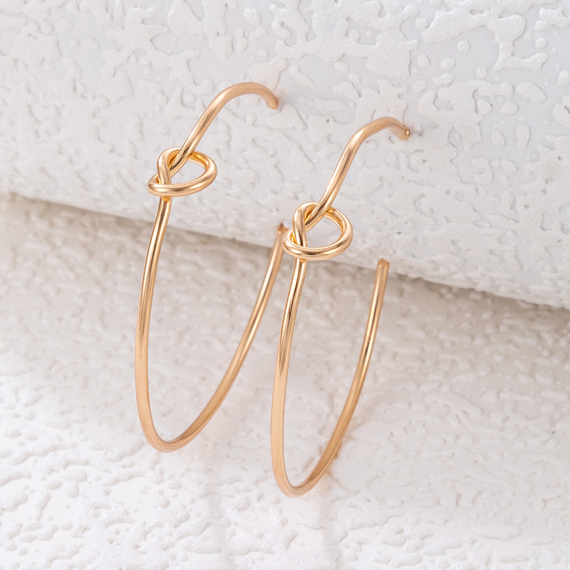 Fashion Geometric Alloy Hoop Earrings 1 Pair