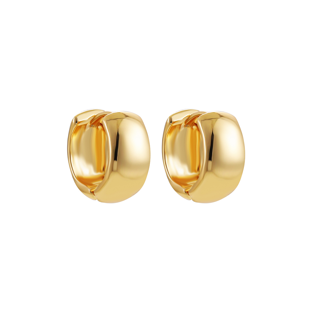 Basic Geometric Alloy Plating Earrings 1 Pair