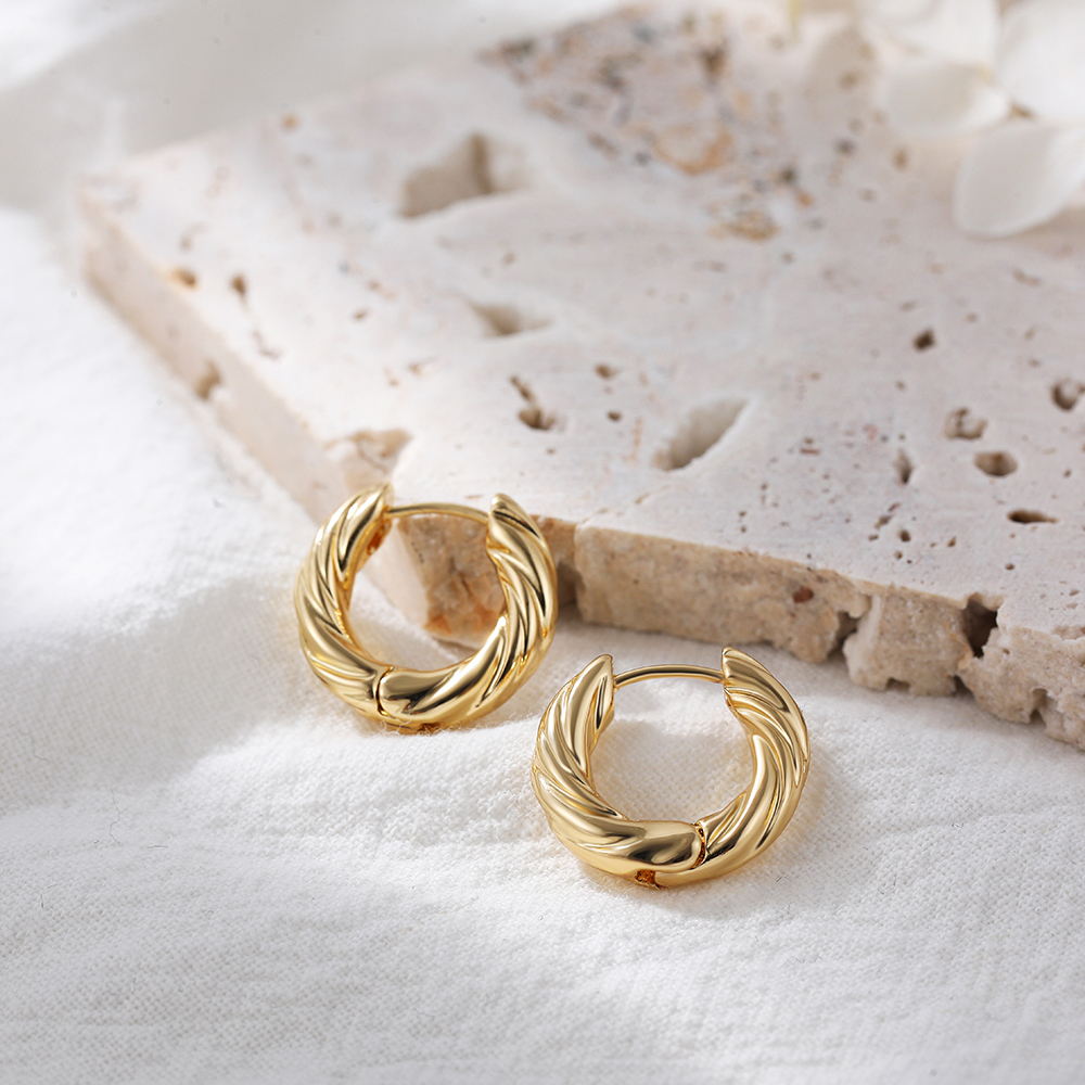 Basic Geometric Alloy Plating Earrings 1 Pair